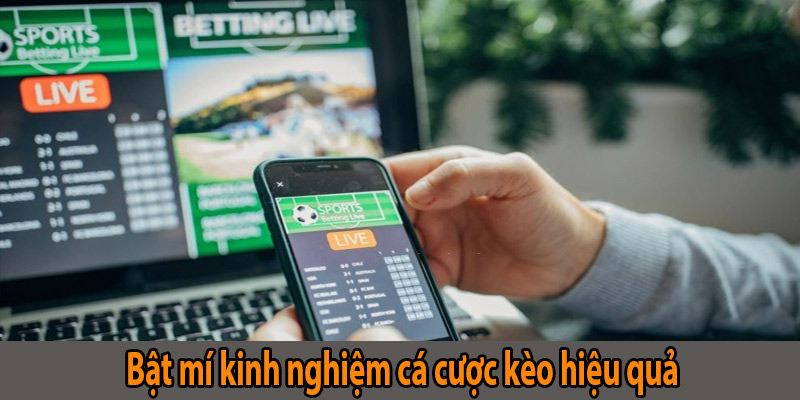 Bật mí kinh nghiệm cá cược kèo hiệu quả