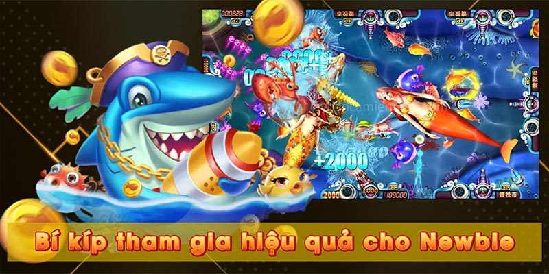 Bí kíp tham gia hiệu quả cho Newbie