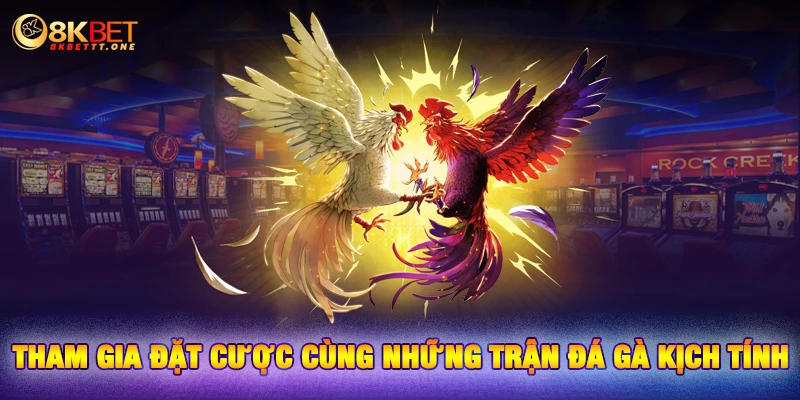 Tham gia đặt cược cùng những trận đá gà kịch tính